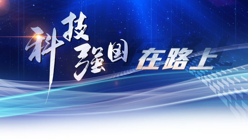 上海云原生电商系统定制：构建高效、可扩展的电商生态