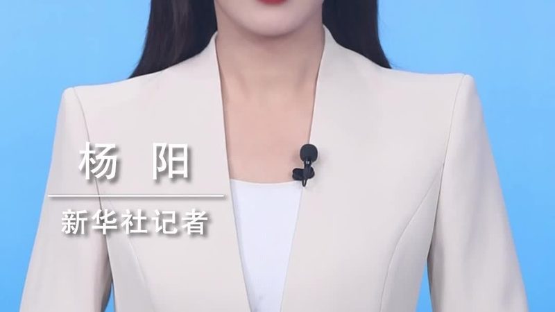 中小企业数字化转型：如何选择合适的咨询公司